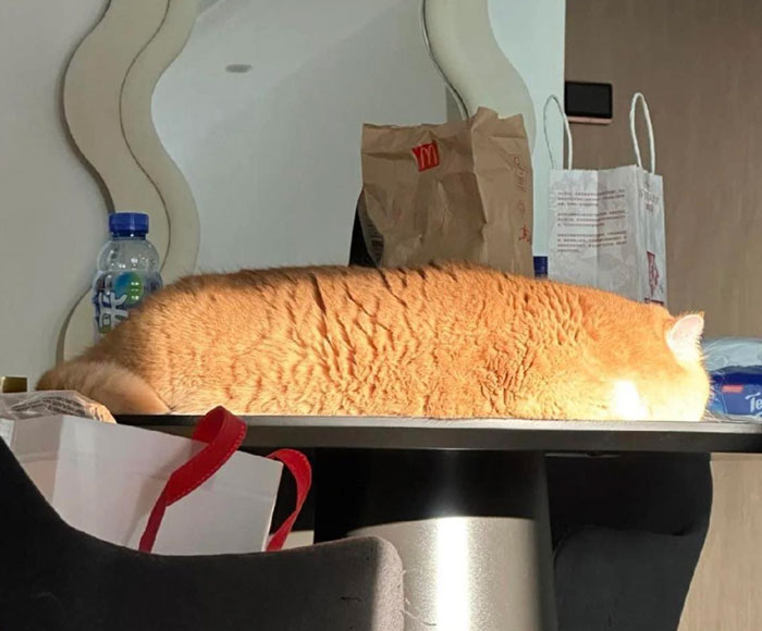 Forbidden Toasted Loaf