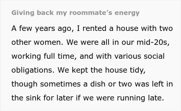 Roommate Complains About Dishes In The Sink, Regrets It When She Does The Same Thing