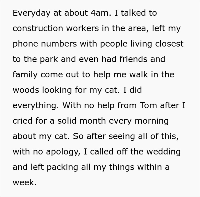 “[Am I The Jerk] For Calling Off My $40K Wedding Because My Fiancé Dropped My Cat Off Somewhere?”