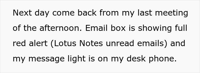 Team Manager Takes Designer's Big Monitors Away To Show How Real Users See Her Designs Team Manager Takes Designer's Big Monitors Away To Show How Real Users See Her Designs