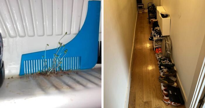 50 Posts Of Bad Roommates That Might Prevent You From Ever Living With Other People (New Pics)