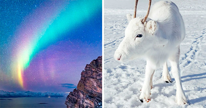 30 Captivating Photos Of Norway That Perfectly Illustrate Why This Country Is So Unique