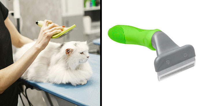 10 Best Cat Brushes For Long-Haired Cats In 2024