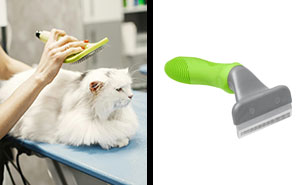 10 Best Cat Brushes For Long-Haired Cats In 2024