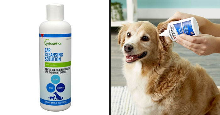 Best 7 Ear Cleaners for Dogs Safe and Effective Ear Medication