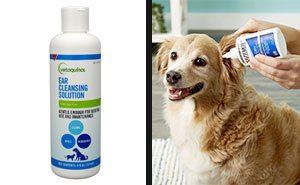 Best 7 Ear Cleaners for Dogs Safe and Effective Ear Medication