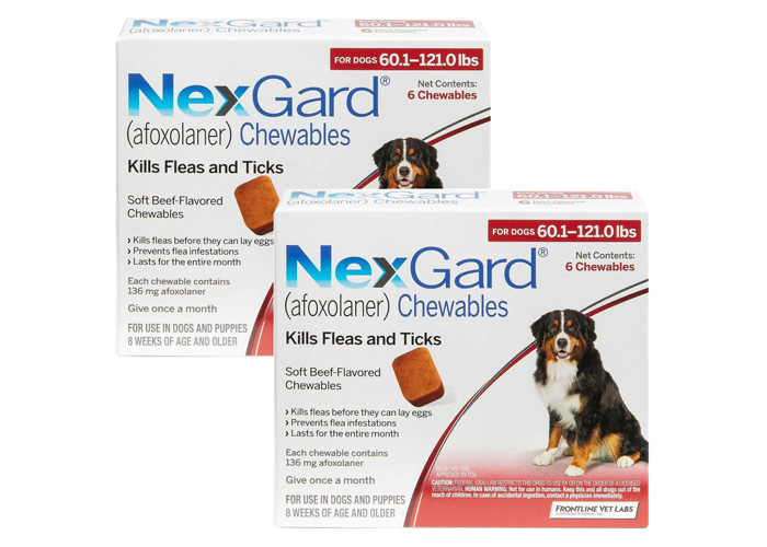 Best 8 Flea Medication for Dogs: Vet Approved Selection Best 8 Flea Medication for Dogs: Vet Approved Selection