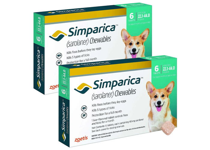 Best 8 Flea Medication for Dogs: Vet Approved Selection Best 8 Flea Medication for Dogs: Vet Approved Selection