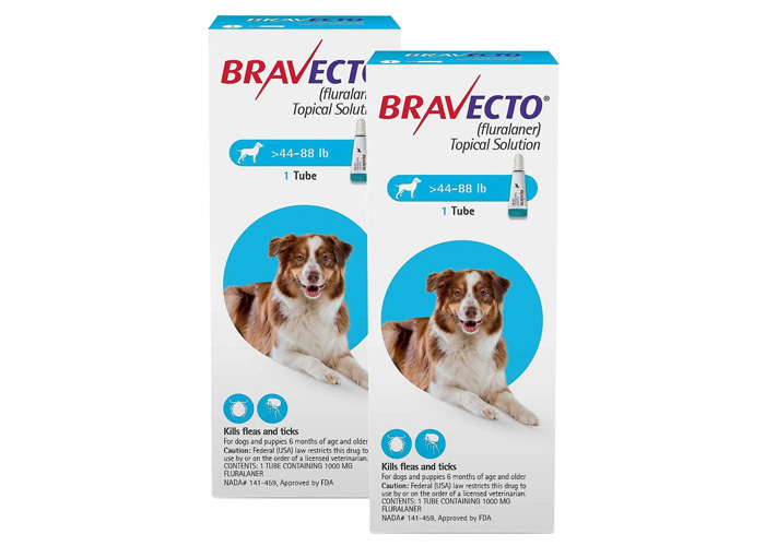 Best 8 Flea Medication for Dogs: Vet Approved Selection Best 8 Flea Medication for Dogs: Vet Approved Selection