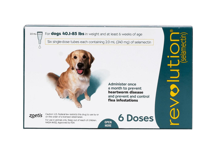 Best 8 Flea Medication for Dogs: Vet Approved Selection Best 8 Flea Medication for Dogs: Vet Approved Selection