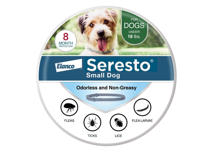 Best 8 Flea Medication for Dogs: Vet Approved Selection Best 8 Flea Medication for Dogs: Vet Approved Selection