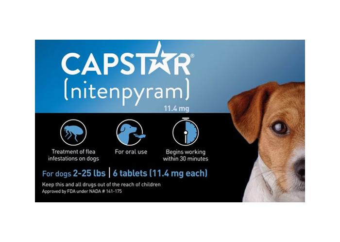 Best 8 Flea Medication for Dogs: Vet Approved Selection Best 8 Flea Medication for Dogs: Vet Approved Selection