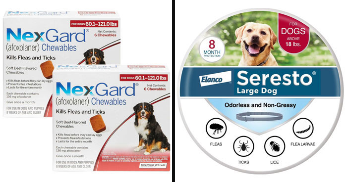 Best 8 Flea Medication for Dogs: Vet Approved Selection