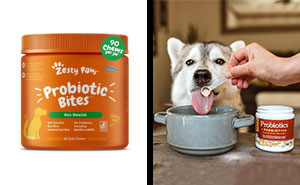 Best 10 Probiotics for Dogs in 2024 Reviewed