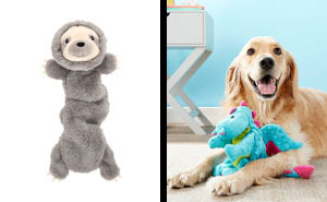 Top 10 Durable Best Squeaky Dog Toys for a Fun Pet Playtime