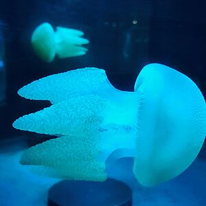 katherine_halamek avatar