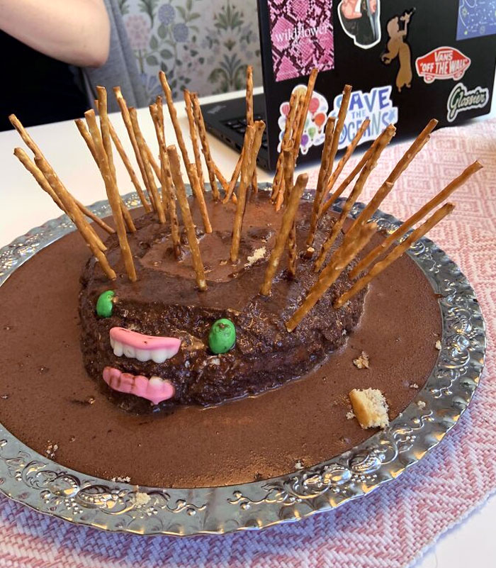 My Friends And I Attempt At A Hedgehog Cake