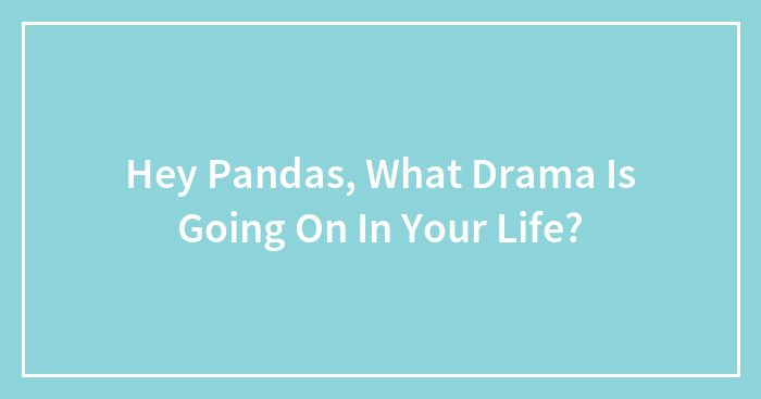 Hey Pandas, What Drama Is Going On In Your Life? (Closed)