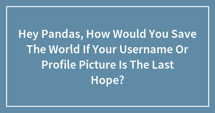 Hey Pandas, How Would You Save The World If Your Username Or Profile Picture Is The Last Hope? (Closed)