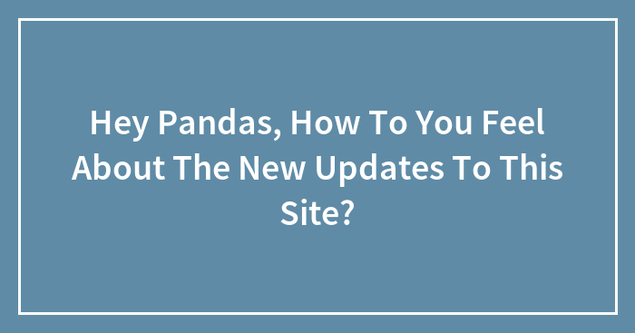 Hey Pandas, How Do You Feel About The New Updates To This Site? (Closed)