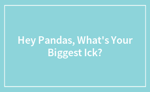 Hey Pandas, What's Your Biggest Ick?