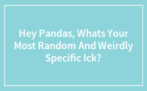 Hey Pandas, Whats Your Most Random And Weirdly Specific Ick?