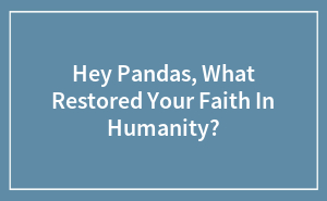 Hey Pandas, What Restored Your Faith In Humanity?