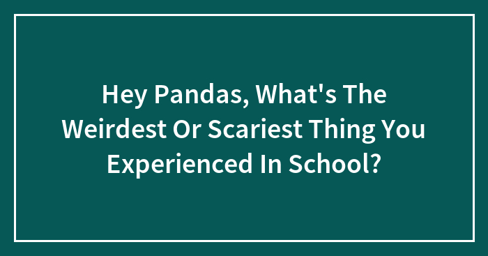 Hey Pandas, What’s The Weirdest Or Scariest Thing You Experienced In School?