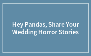 Hey Pandas, Share Your Wedding Horror Stories
