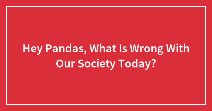 Hey Pandas, What Is Wrong With Our Society Today? (Closed)