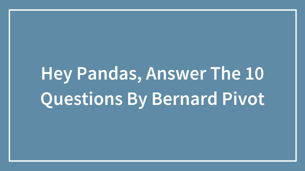 Hey Pandas, Answer The 10 Questions By Bernard Pivot