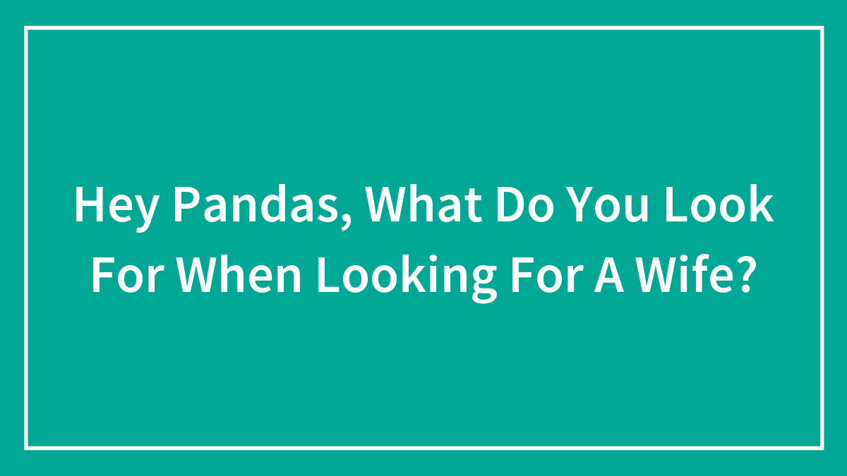 Hey Pandas, What Do You Look For When Looking For A Wife?