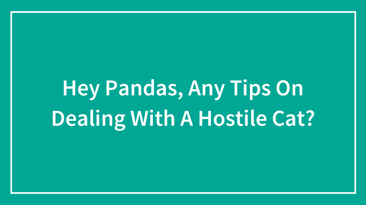 Hey Pandas, Any Tips On Dealing With A Hostile Cat?