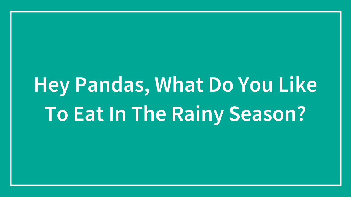 Hey Pandas, What Do You Like To Eat In The Rainy Season?