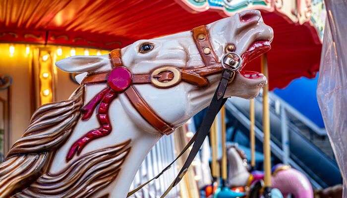 PETA Demands Carousel-Maker To End Animal Designs As They “Unintentionally” Celebrate Exploitation
