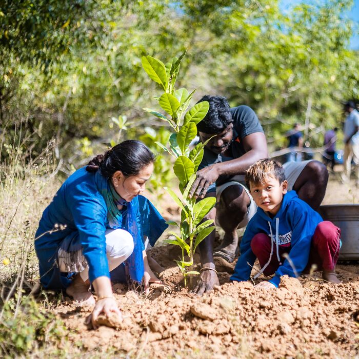 India’s Green Success Story: Setting A Guinness World Record For Planting 66 Million Trees In Just 12 Hours