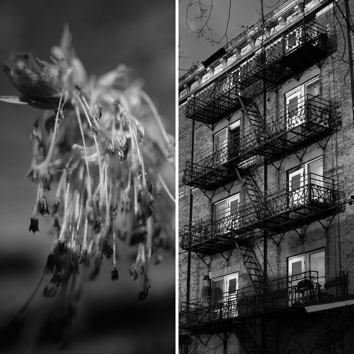 The Intersection Of Photography And Mindfulness (16 Pics)