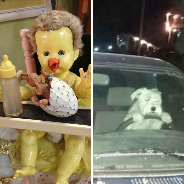 Hey Pandas, Show Us The Strangest Picture In Your Gallery Without Any Context (Closed)