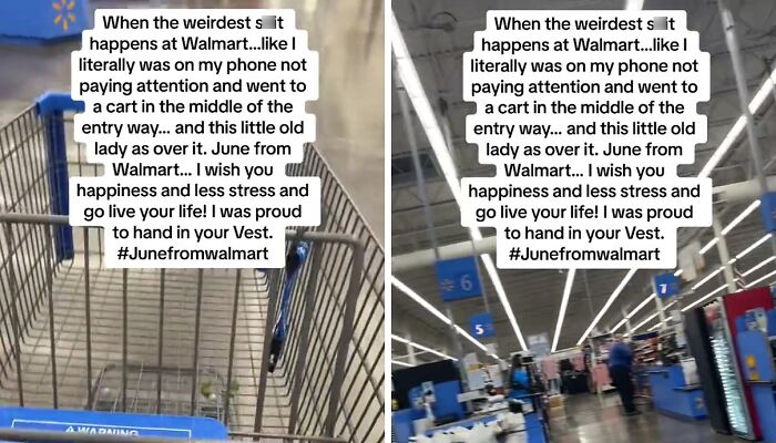 Shopper Ends Up Quitting For Walmart Employee, Who Handed Over Her Vest And Said ‘I’m Sick Of It’