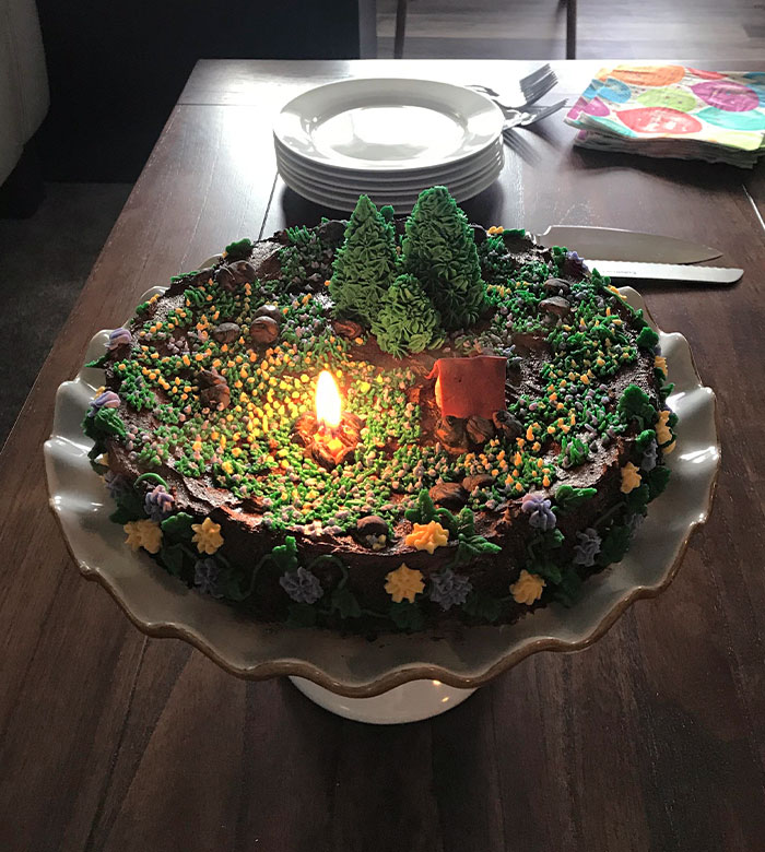 This Woodland-Themed Birthday Cake Has An Actual Campfire
