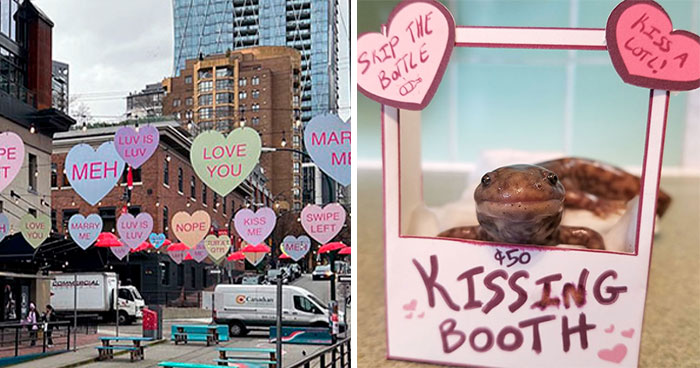 50 Times People Won At The Valentine’s Day Decoration Game (New Pics)