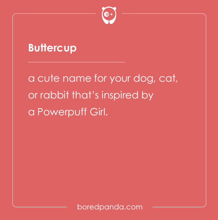 135 Unique and Cute Pet Names To Melt Your Heart