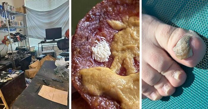 People Share Pictures That Make Others ‘Suffer’, And It Gets Worse The More You Look At Them (94 New Pics)