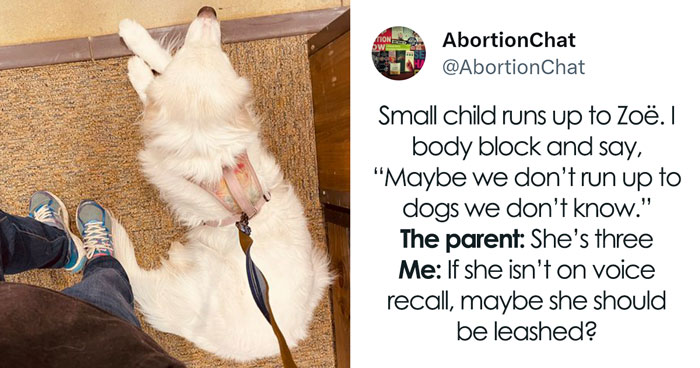 Person Tweets About A Random Kid Running To Her Dog, Gets Over 24M Views And Sparks Debate