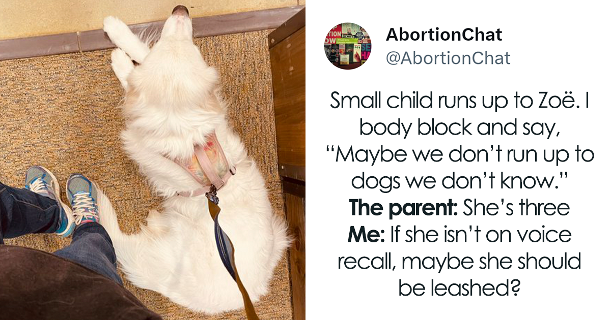 Person Tweets About A Random Kid Running To Her Dog, Gets Over 24M Views And Sparks Debate - Vimarsana News