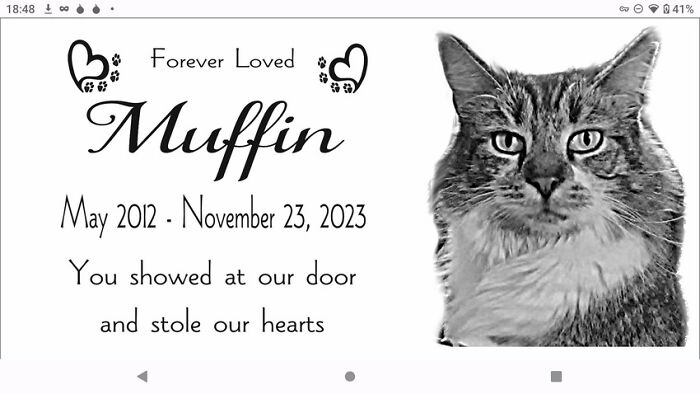 Muffin. She Died Last November And I Miss Her Every Day. At Least I Have The Memories.s