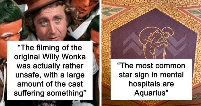 Split image showing W***y Wonka cast in a scene and a decorative wall with text sharing weird and fun facts from an online thread