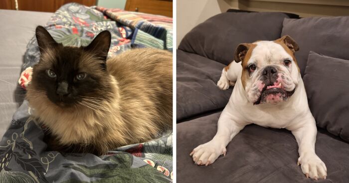 Hey Pandas, Share A Photo Of Something That Makes You Happy (Closed)