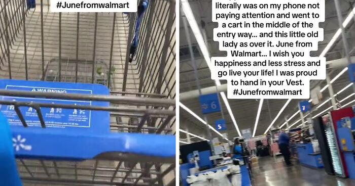Shopper Ends Up Quitting For Walmart Employee, Who Handed Over Her Vest And Said ‘I’m Sick Of It’