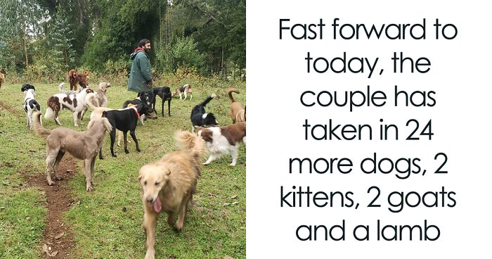 A Couple And Their 31 Four-Legged Family Members Found A Home After Their Video Asking For Help Went Viral